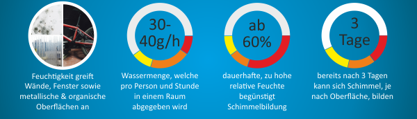 Einfluss von Feuchtigkeit auf die Schimmelbildung im Haus.