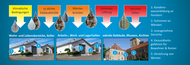 Ursachen für Feuchtigkeit und Schimmel in Bestandsimmobilien