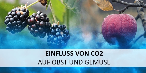 CO2 Detektion: Optimierungspotential im Reifeprozess von Obst und Gemüse durch Kohlendioxid Überwachung